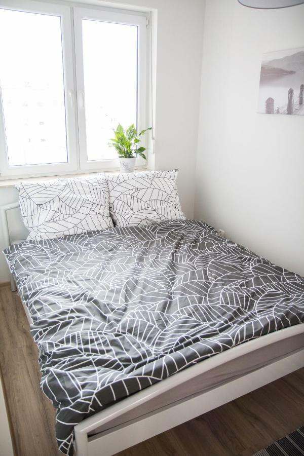 Apartament F&J Stary Toruń Esterno foto