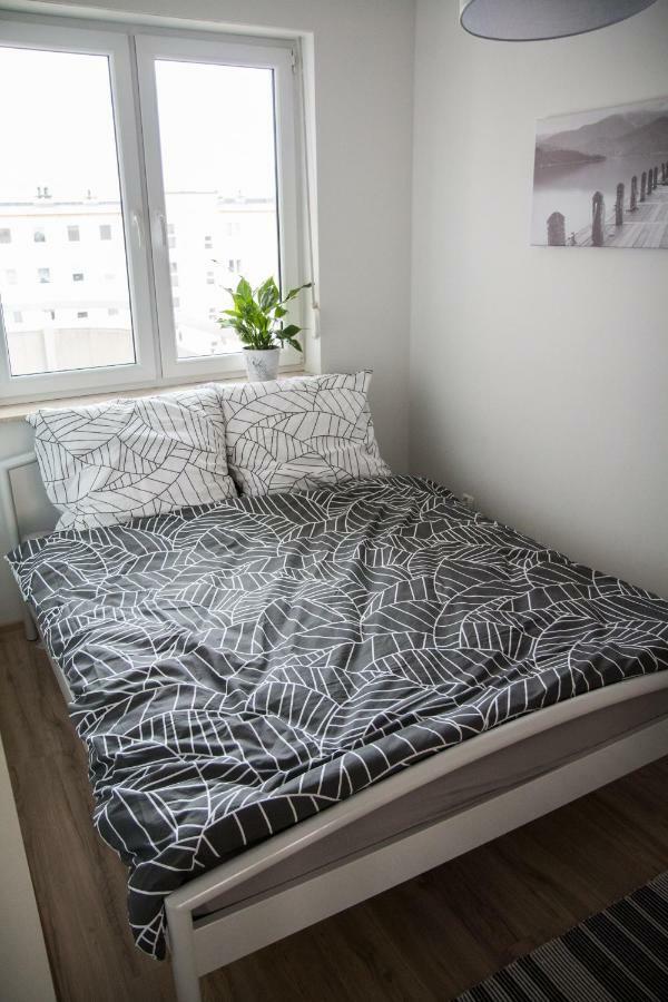 Apartament F&J Stary Toruń Esterno foto