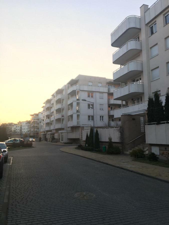 Apartament F&J Stary Toruń Esterno foto
